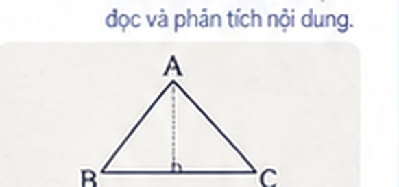 Quan sát hình và trả lời câu hỏi
